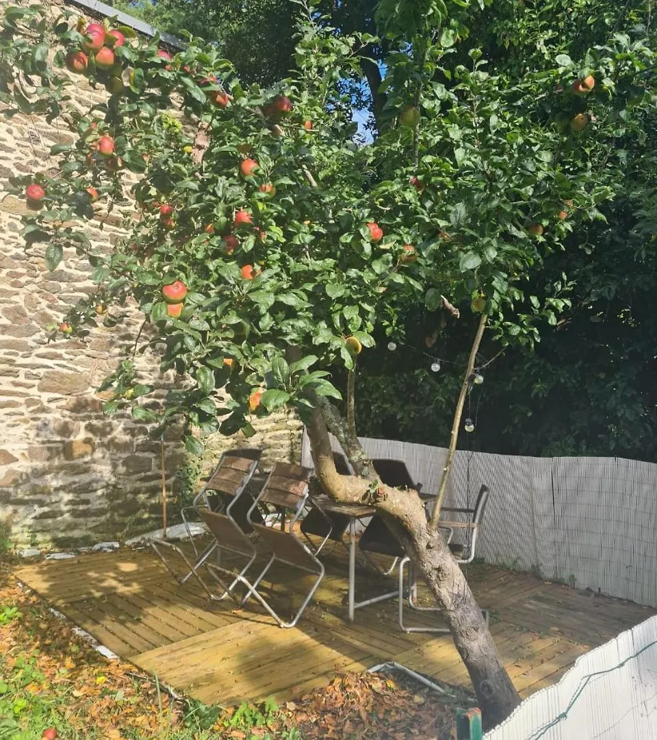 Studio De Charme Avec Jardin Au Quatre-Moulins Brest Apartment